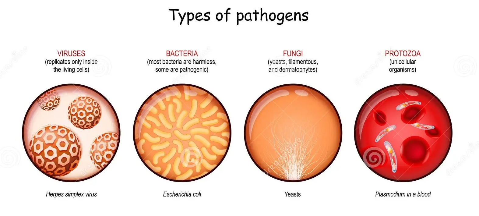 pathogens